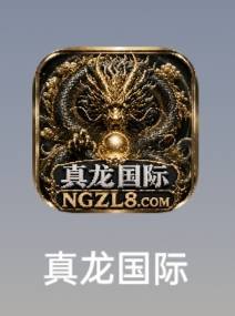 真龙国际