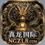 真龙国际